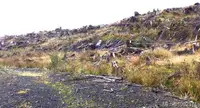 View 14