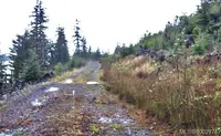 View 19