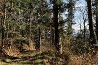View 24