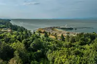 View 50