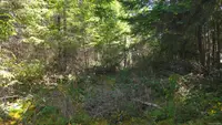 View 7