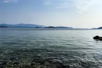 View 42