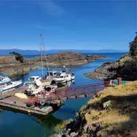 View 65