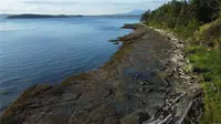 View 43