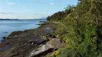View 44
