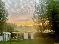 View 69