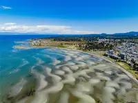 View 50