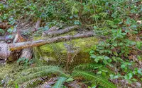 View 19