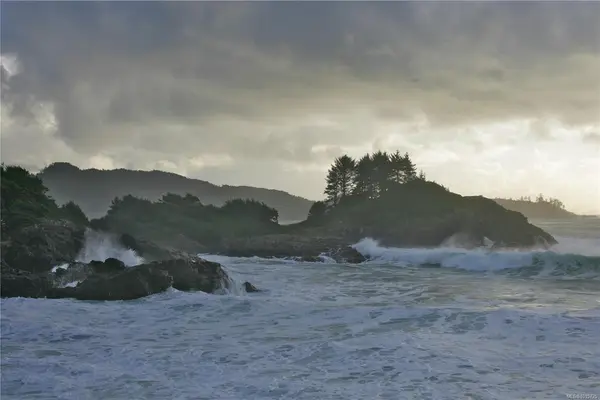 871 Moser Pl, Tofino BC V0R 2Z0