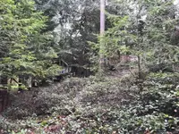 View 7
