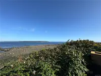 View 15