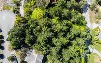 View 4