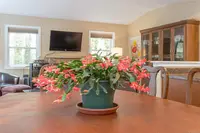 View 25