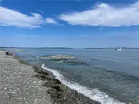 View 4