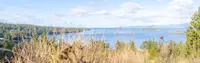 View 28
