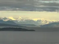 View 14