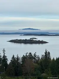 View 15