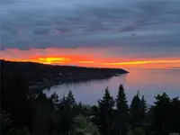View 39