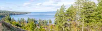 View 29