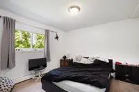 View 50