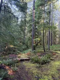 View 26