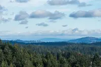 View 17