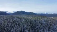 View 34