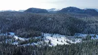 View 33
