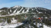 View 31