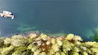 View 26