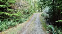 View 32