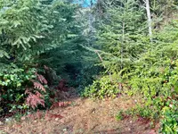 View 34