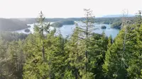View 40