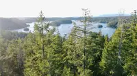 View 39