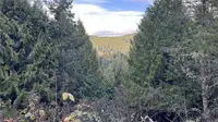 View 23