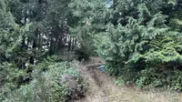 View 27