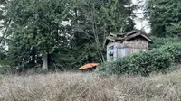 View 22