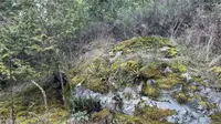 View 24