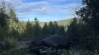 View 30