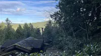 View 21