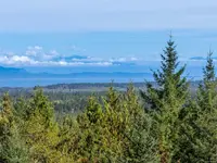 View 17