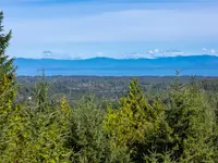 View 44