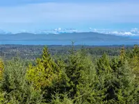 View 40