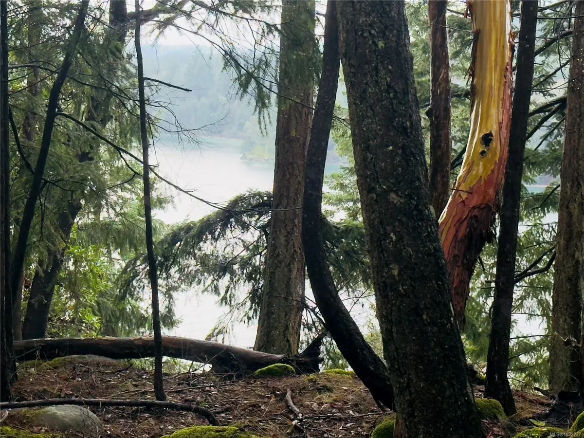 127 Halibut Hill Rd, Mudge Island BC V0R 1X6