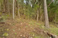 View 31