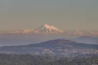 View 61