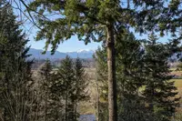 View 16