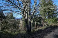 View 14