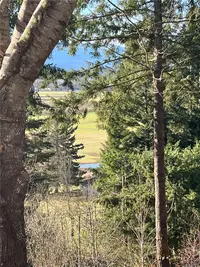 View 11