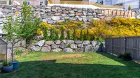 View 25